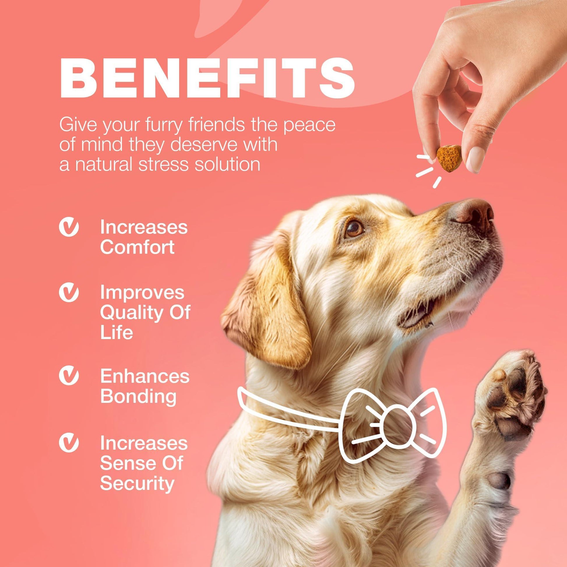 Dog Flea and Tick Treatment Chews   Flea and Tick Prevention for Dogs   Flea & For Pet With Love
