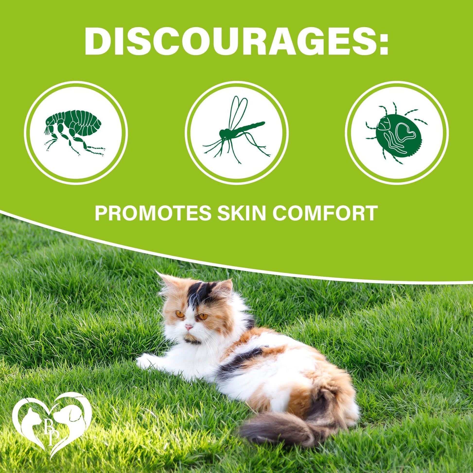 Beloved Pets Flea and Tick Prevention Chewable Treats for Cats. Revolution Oral Treatment. 240 Chews For Pet With Love