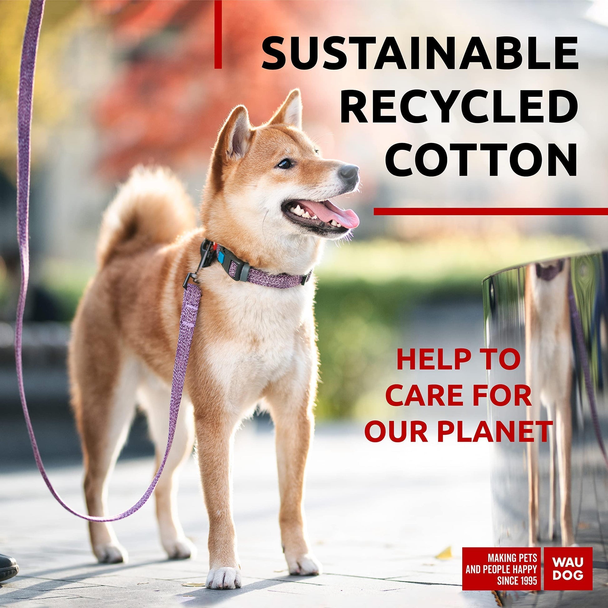 WAUDOG Recycled Cotton Dog Leash 6 Ft   10 Ft Eco Friendly Collar for Small For Pet With Love