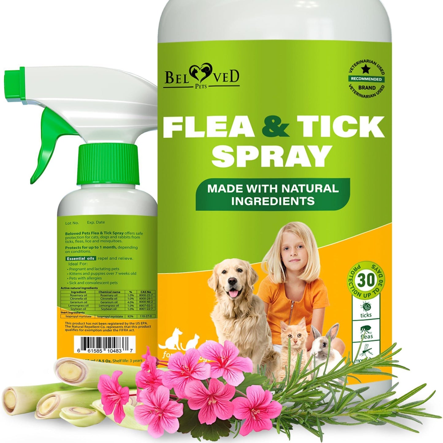 Beloved Pets Natural Flea and Tick Home Spray for Dogs, Cats & Ferrets. Pest Control & House Flea Treatment. Organic Mosquito Bug Repellent & Carpet Flea Killer. 8.5 Oz. For Pet With Love
