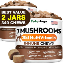 Load image into Gallery viewer, PETSOLOGY Turkey Tail Mushroom and Multivitamin Supplement for Dogs with Glucosamine. 2Pack. 340 Chews. For Pet With Love

