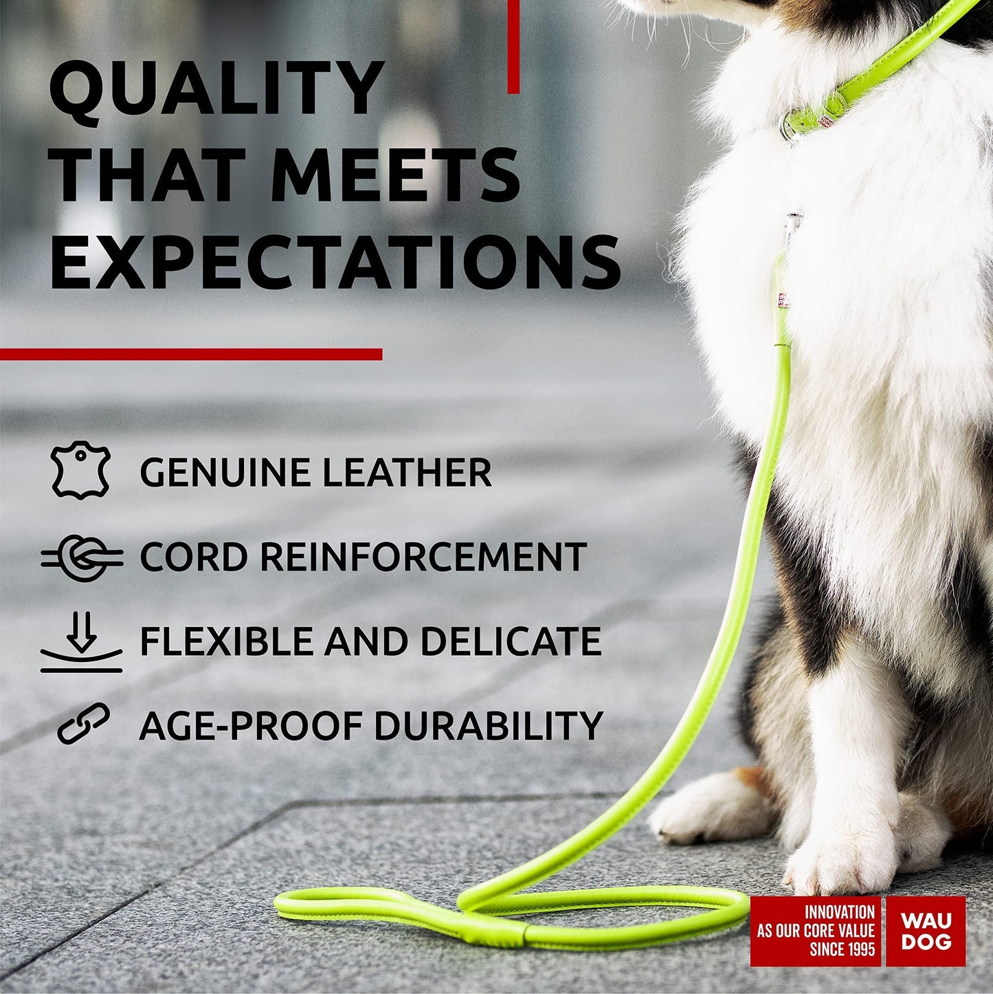 WAUDOG Rolled Leather GLAMOUR Dog Leash 4Ft * 0.5in for Small Medium and Large Dogs (Green) For Pet With Love