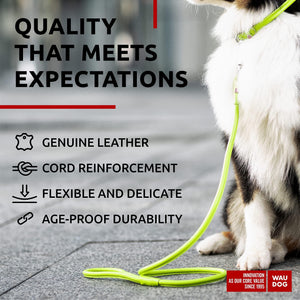 WAUDOG Rolled Leather GLAMOUR Dog Leash 4Ft * 0.5in for Small Medium and Large Dogs (Green)