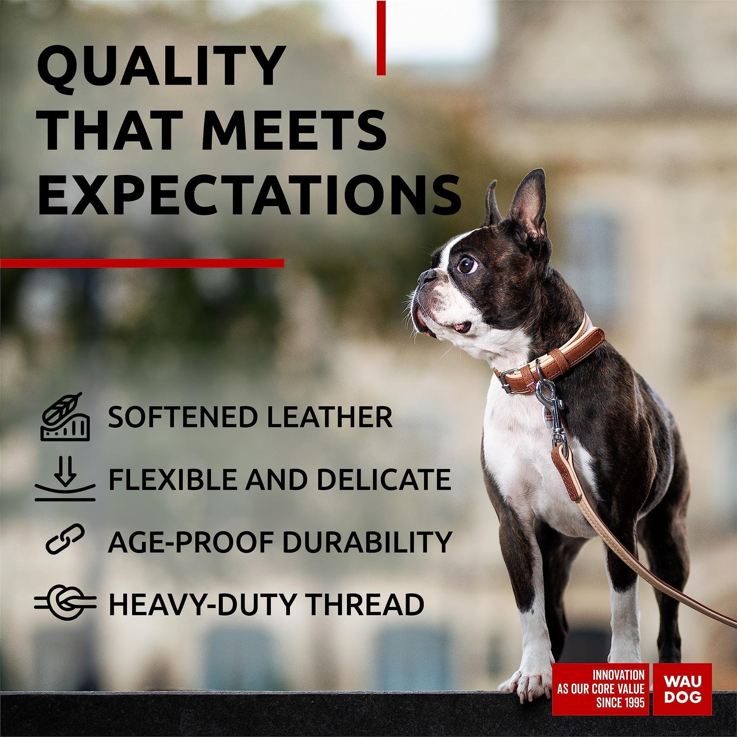 WAUDOG Leather Dog Collar with Durable Buckle and QR Dog Tag BROWN SMALL For Pet With Love