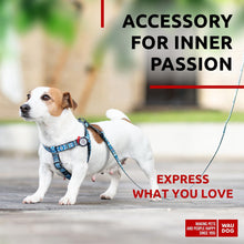 Load image into Gallery viewer, WAUDOG Nylon Dog Leash for Small Dogs and Medium Dogs 4 Ft   Strong Dog Leash

