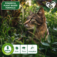 Load image into Gallery viewer, Beloved Pets Natural Flea &amp; Tick Collar for Cats. 6 Months Control of Best Prevention &amp; Safe Treatment with Essential Oil Repellent (1 Count)
