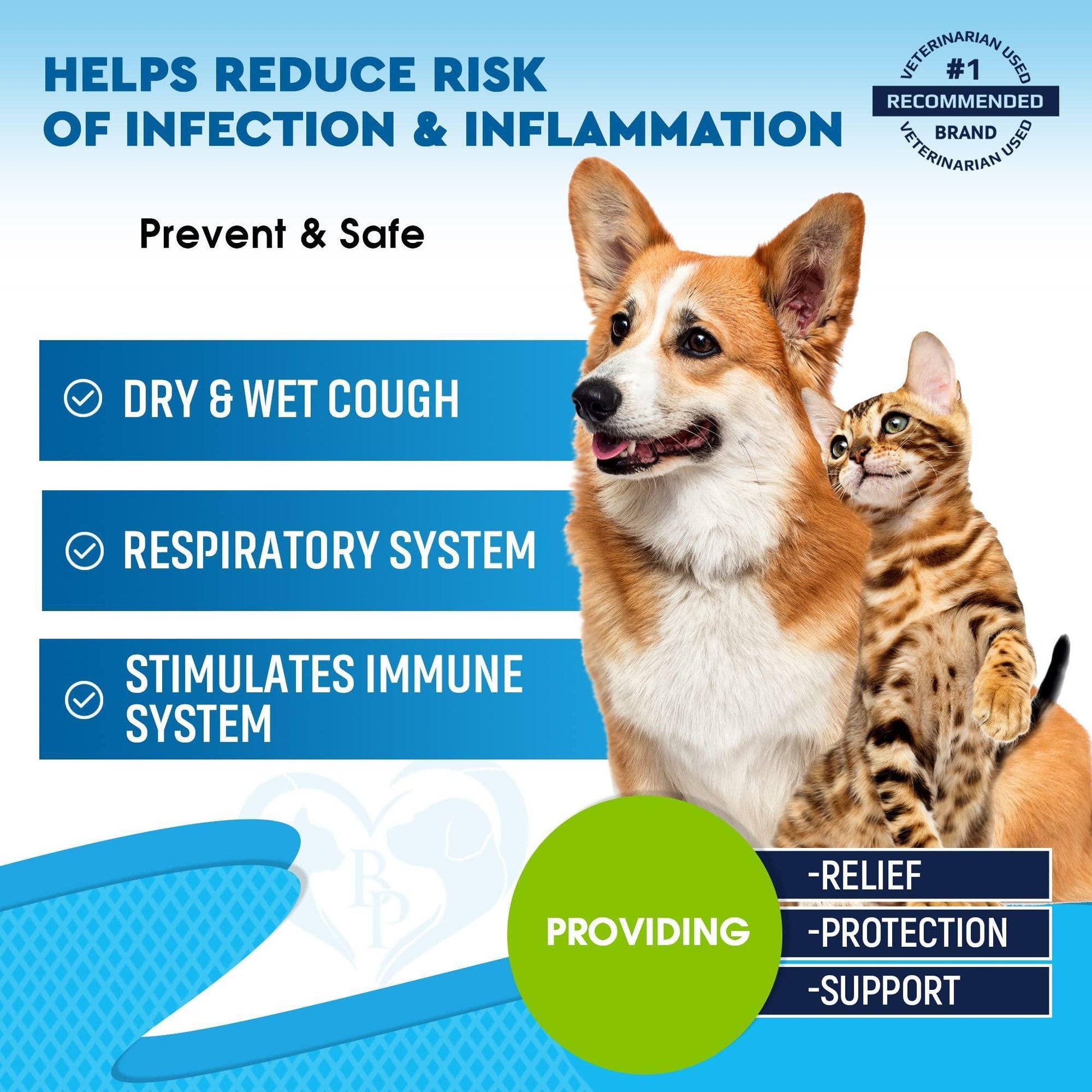 Beloved Pets Kennel Cough Treatment & Natural Infection Respiratory & Cough Relief for Dogs & Cats 2oz For Pet With Love