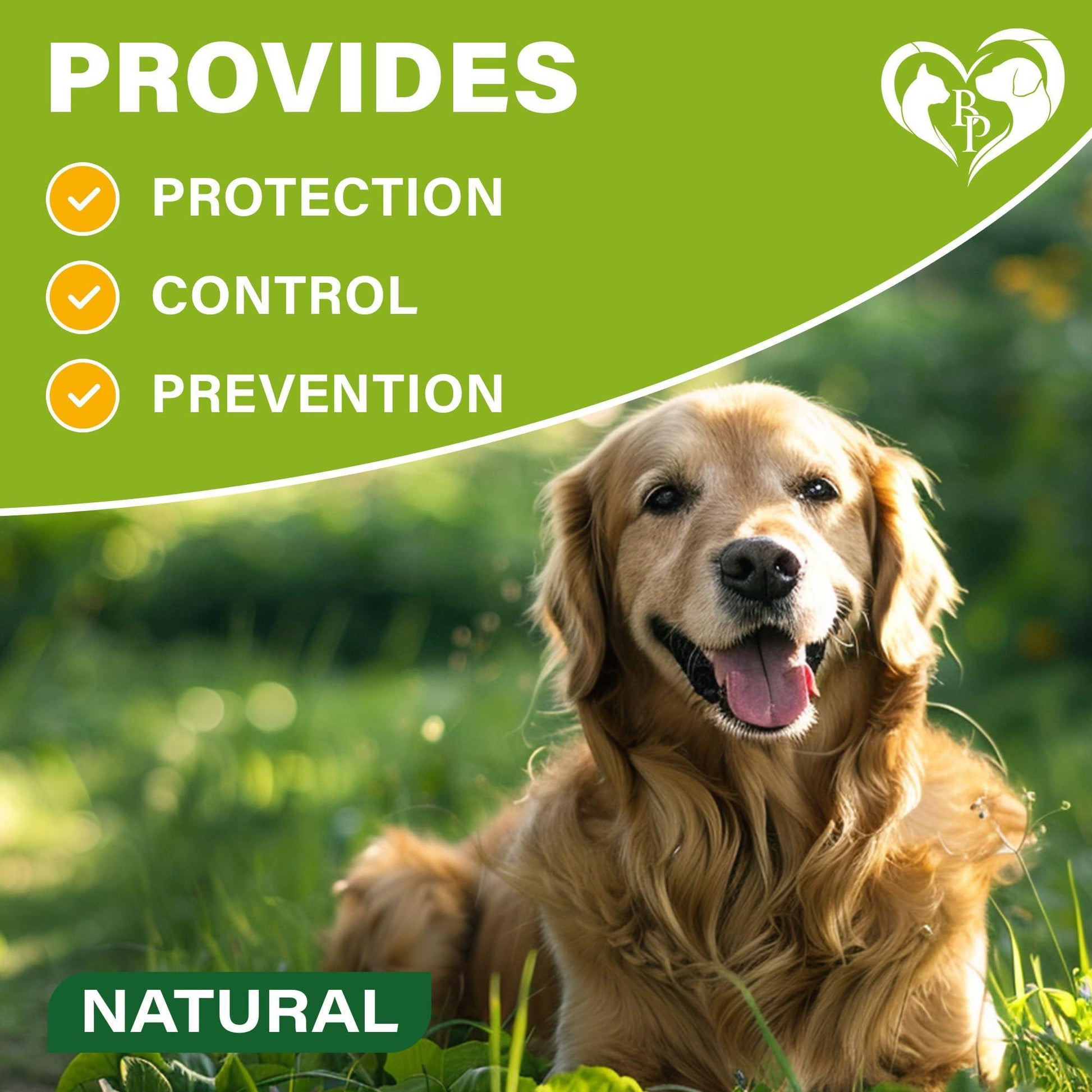 Beloved Pets Natural Anti Fleas and Ticks Essential Oil Repellent Collar for Dogs. 6 Months Control of Best Prevention & Safe Treatment. (Pack of 2) For Pet With Love