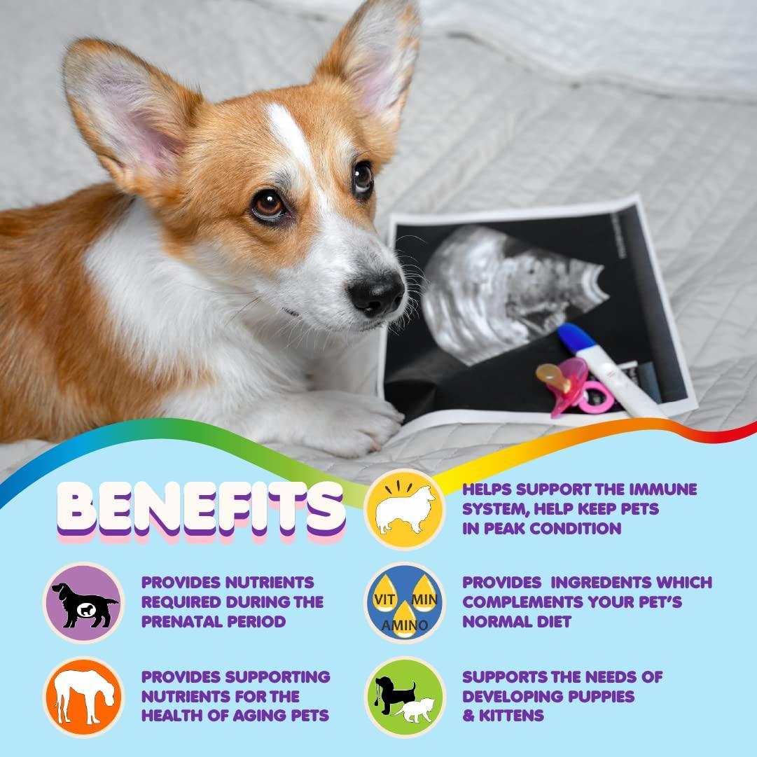 Makondo Pets Prenatal Multivitamins for Dogs & Cats with Folic Acid Minerals & Amino Acids For Pet With Love