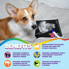 Load image into Gallery viewer, Makondo Pets Prenatal Multivitamins for Dogs &amp; Cats with Folic Acid Minerals &amp; Amino Acids
