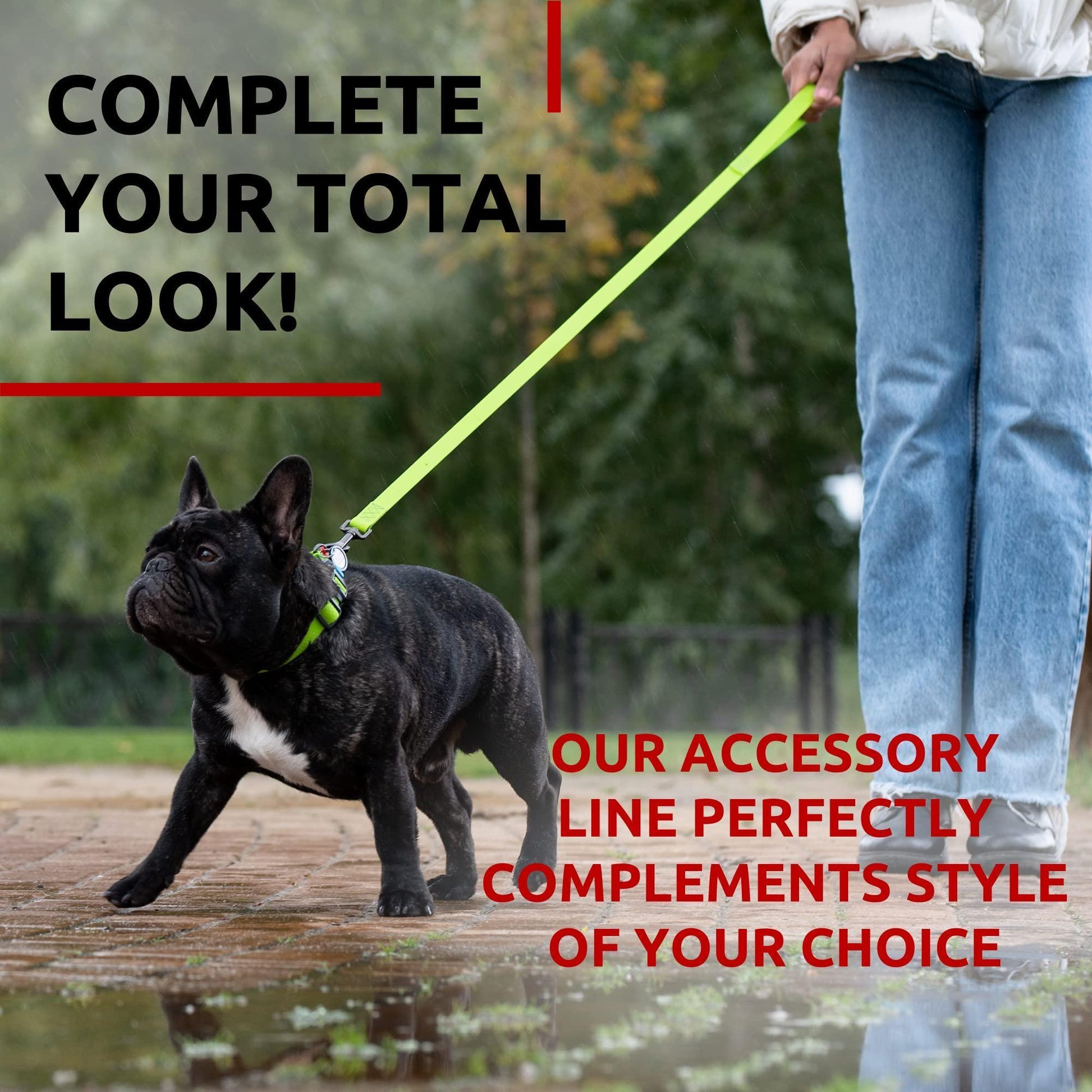 Waterproof Dog Leash 4 Ft   6 Ft   Anti Slip Dog Leash for Large Dogs Small and For Pet With Love