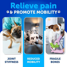 Load image into Gallery viewer, Artullano Hemp Hip and Joint Supplement with Glucosamine for Dogs 120 Chews
