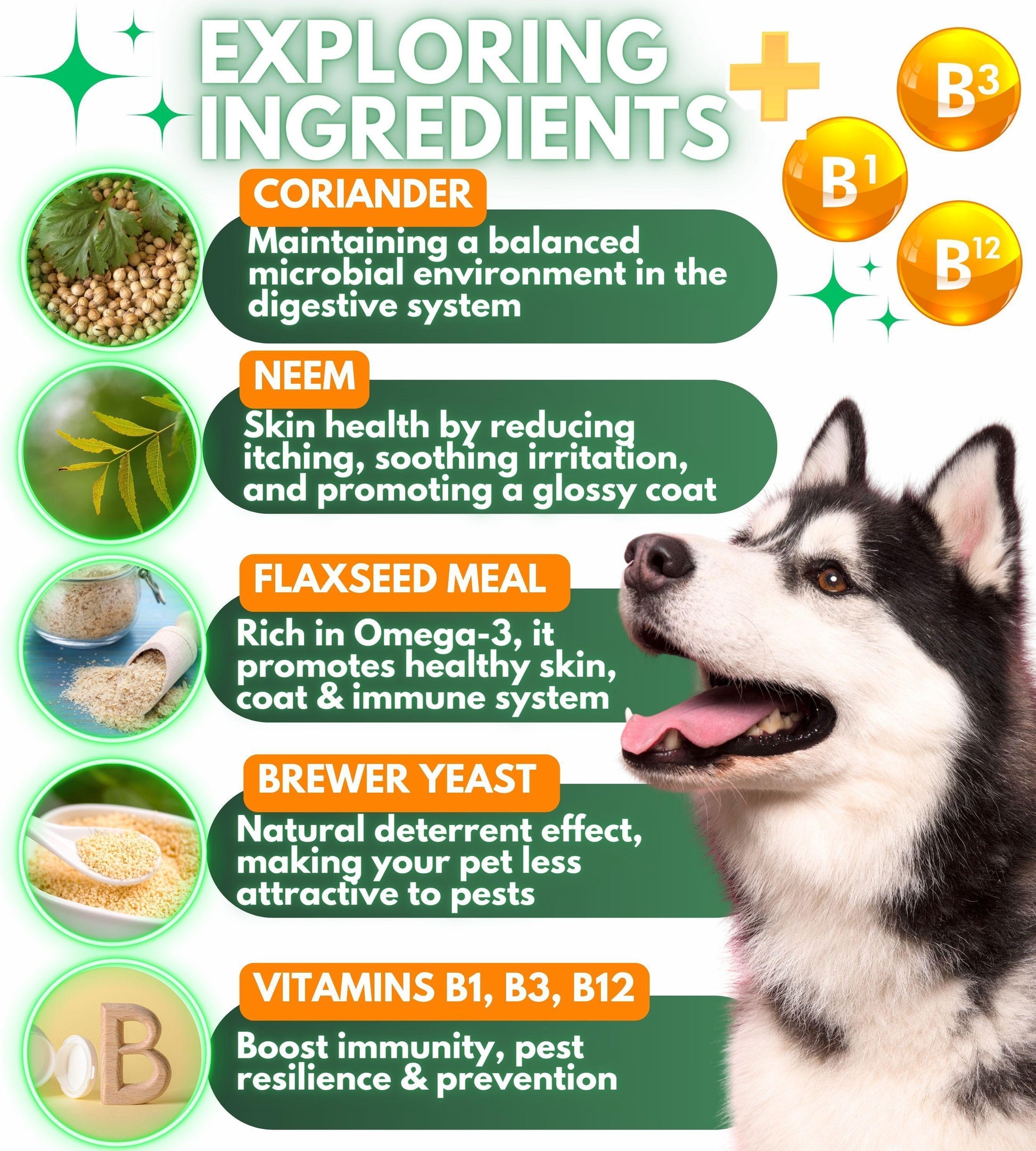 Pawious Natural Flea and Tick Prevention Treatment for Dogs Treats. 120 Chews. Made in USA For Pet With Love