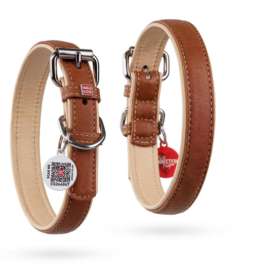 WAUDOG Leather Dog Collar with Durable Buckle and QR Dog Tag BROWN SMALL For Pet With Love