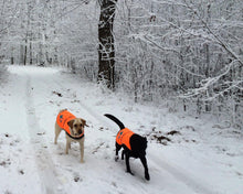 Load image into Gallery viewer, SafetyPUP XD Hi-Visibility Fluorescent Blaze Orange Dog Vest (Large)
