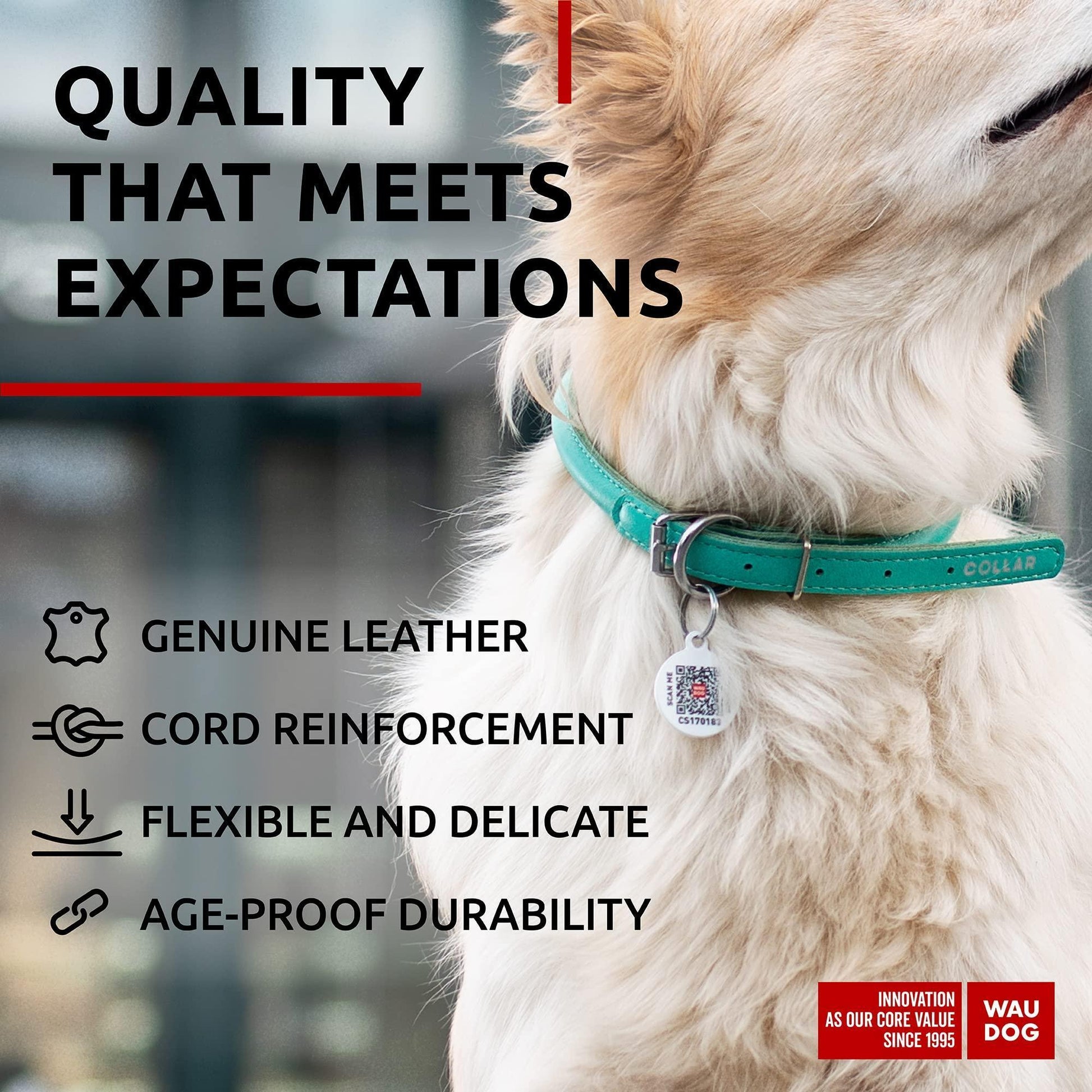 WAUDOG Ultra Soft Rolled Leather Dog Collar MINT MEDIUM For Pet With Love