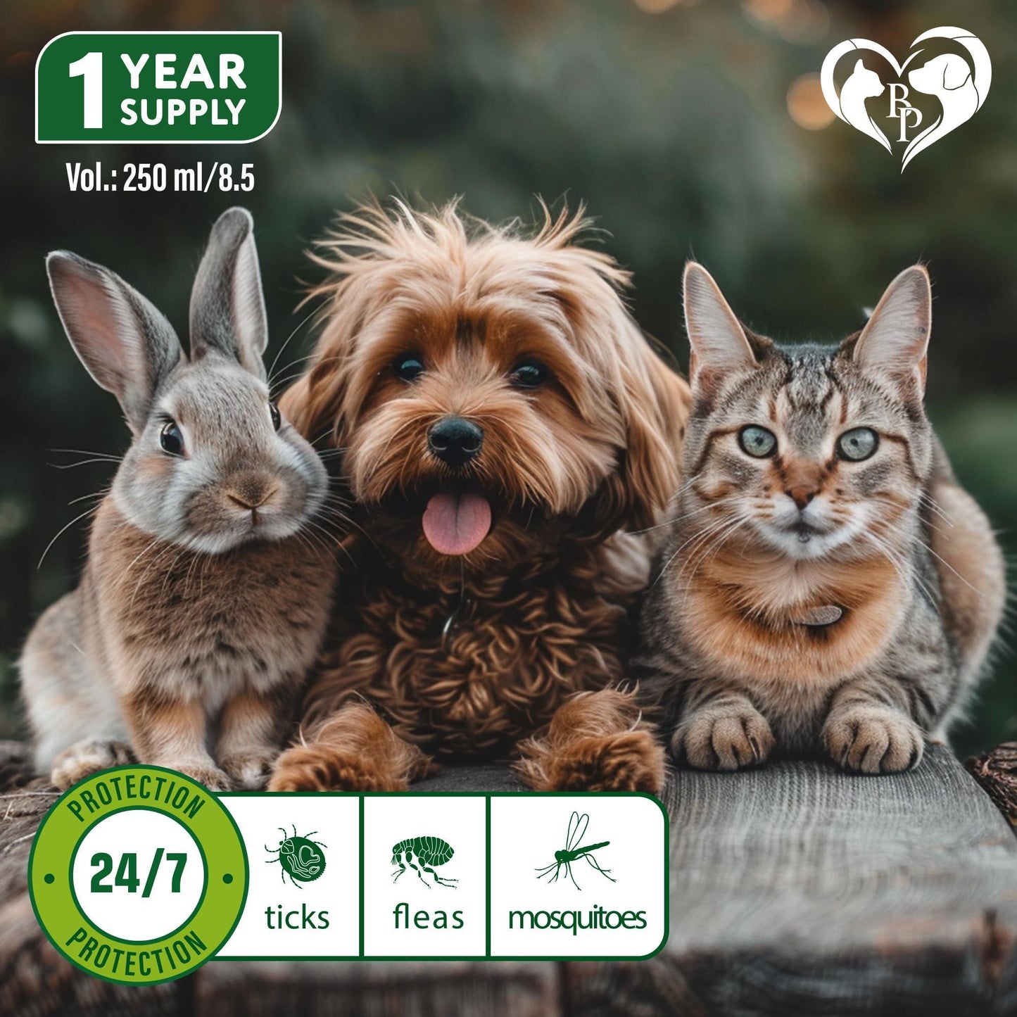 Beloved Pets Natural Flea and Tick Home Spray for Dogs, Cats & Ferrets. Pest Control & House Flea Treatment. Organic Mosquito Bug Repellent & Carpet Flea Killer. 8.5 Oz. For Pet With Love