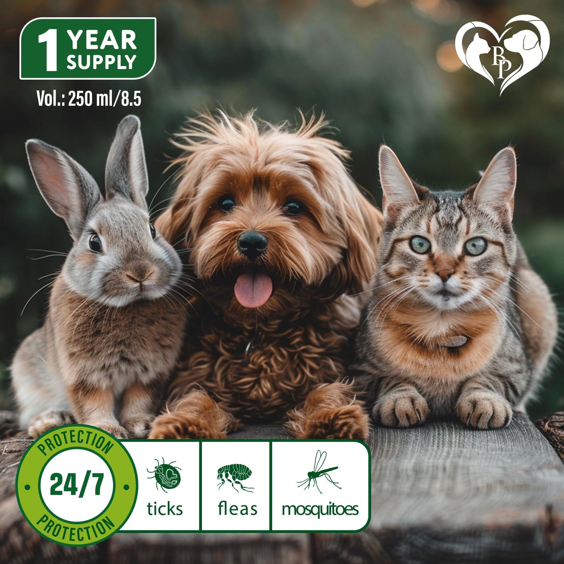 Beloved Pets Natural Flea and Tick Home Spray for Dogs, Cats & Ferrets. Pest Control & House Flea Treatment. Organic Mosquito Bug Repellent & Carpet Flea Killer. 8.5 Oz. For Pet With Love