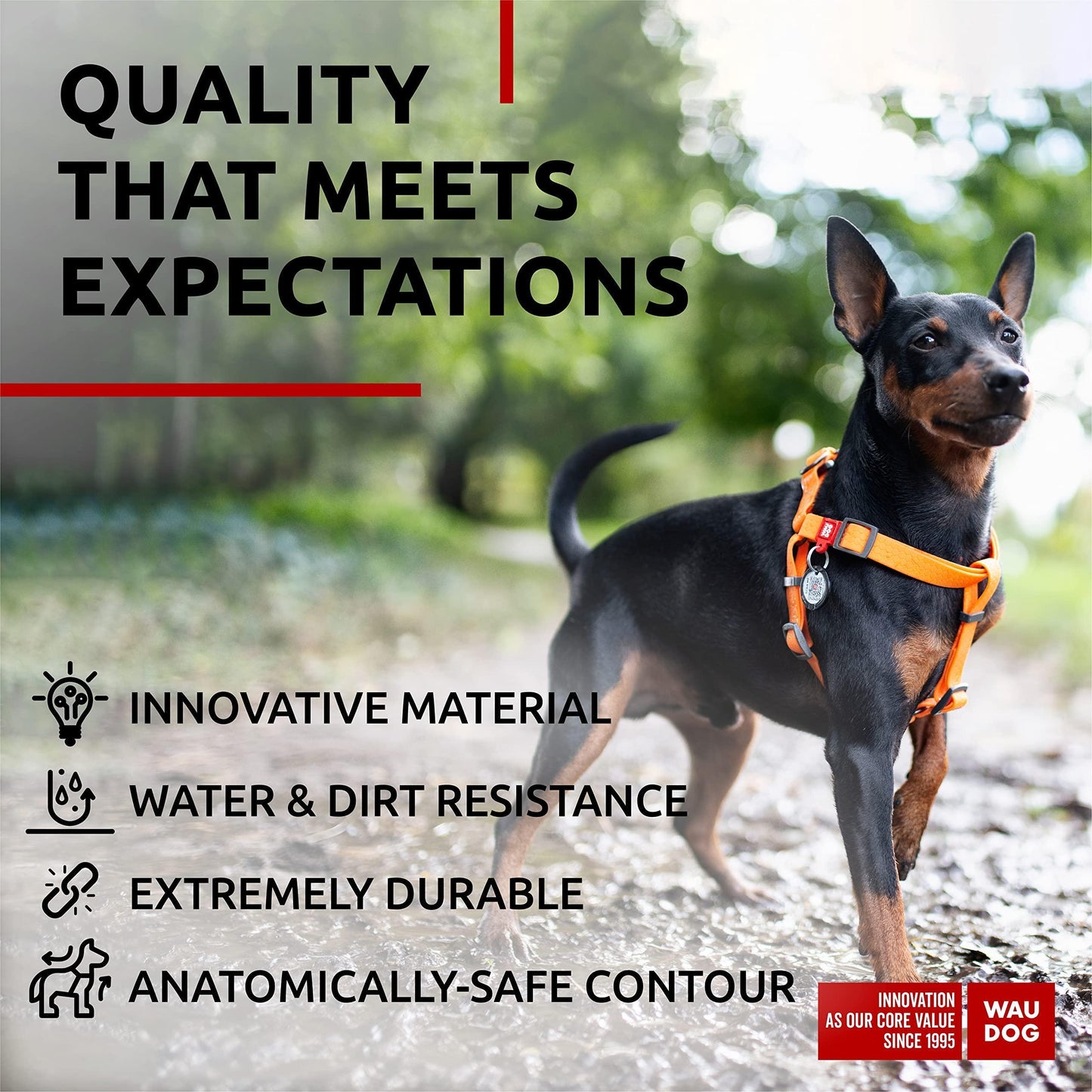 WAUDOG Waterproof Dog Harness   Adjustable Dog Harness for Large Dogs Small and For Pet With Love
