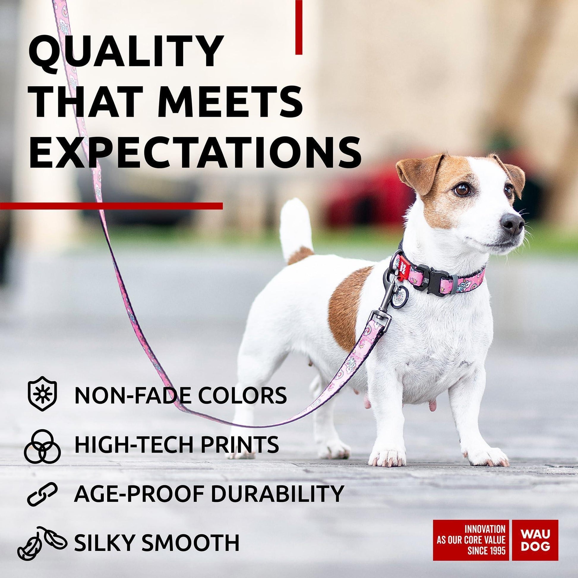Nylon Dog Leash for Small Dogs and Medium Dogs 4 Ft   Strong Dog Leash for For Pet With Love