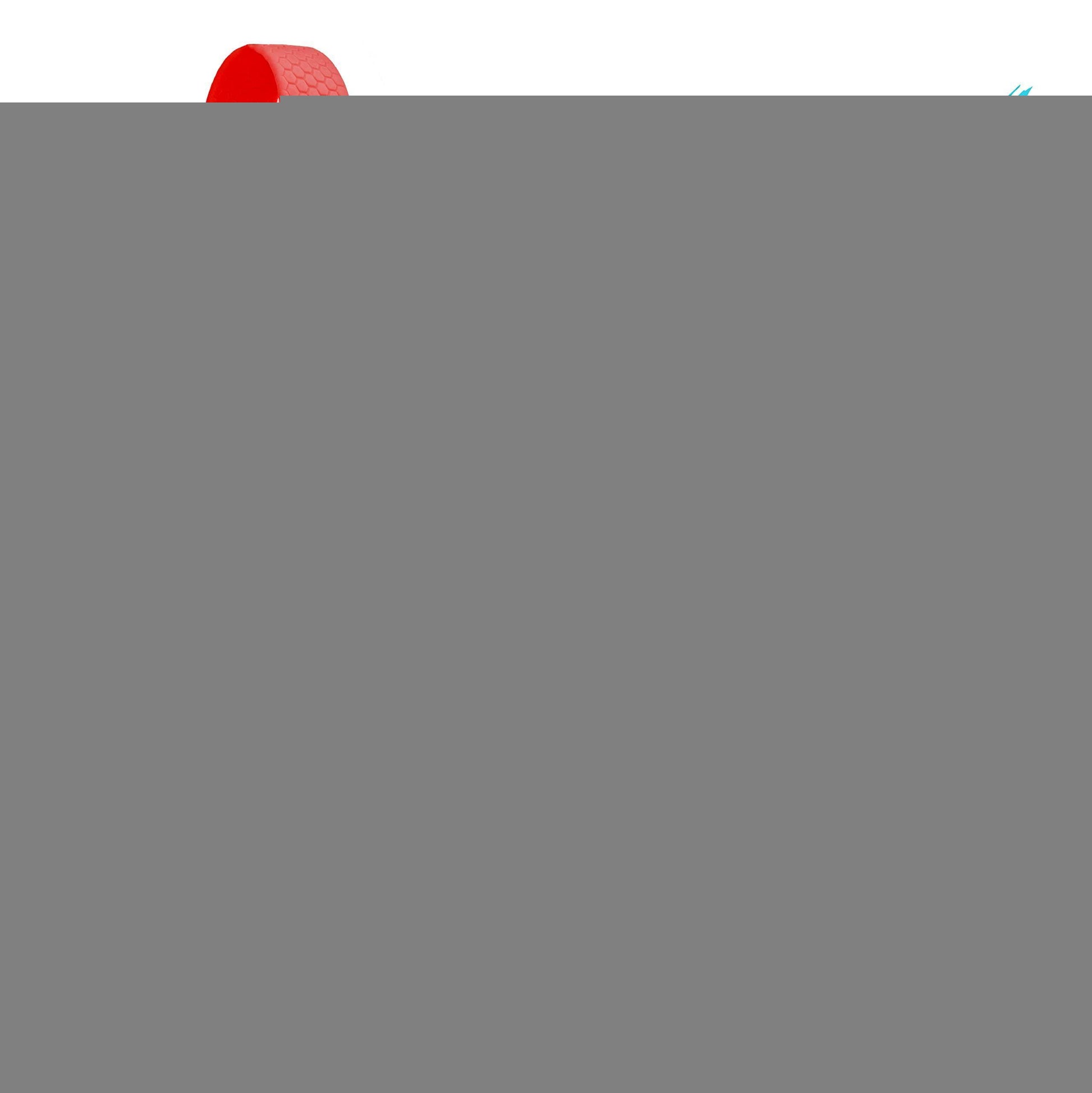 Waterproof Dog Leash 4 Ft   6 Ft   Anti Slip Dog Leash for Large Dogs Small and For Pet With Love