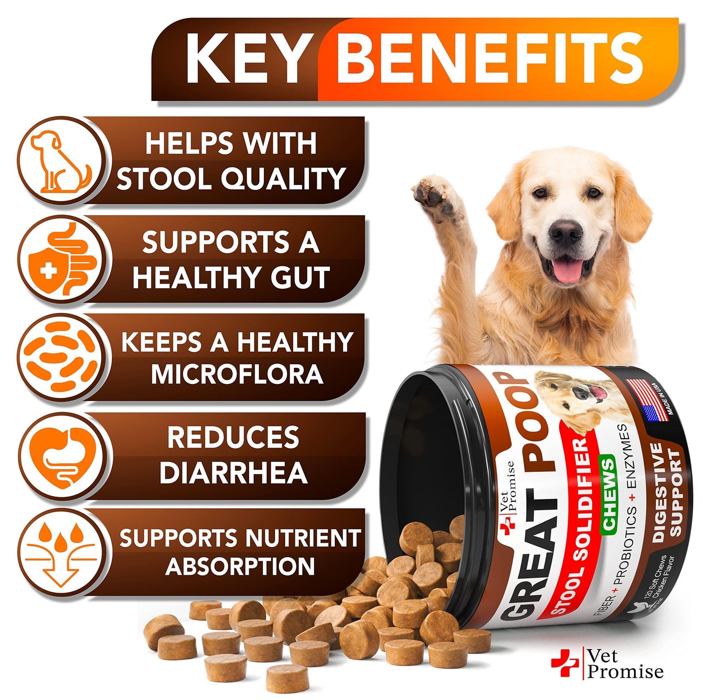 Vet Promise Probiotics & Digestive Enzymes for Dogs Firm Stool & Diarrhea Relief 120 Chews For Pet With Love