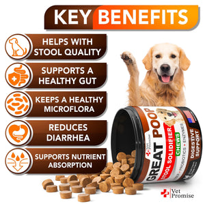 Vet Promise Probiotics & Digestive Enzymes for Dogs Firm Stool & Diarrhea Relief 120 Chews
