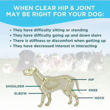 Load image into Gallery viewer, Clear Hip &amp; Joint Health for Dogs
