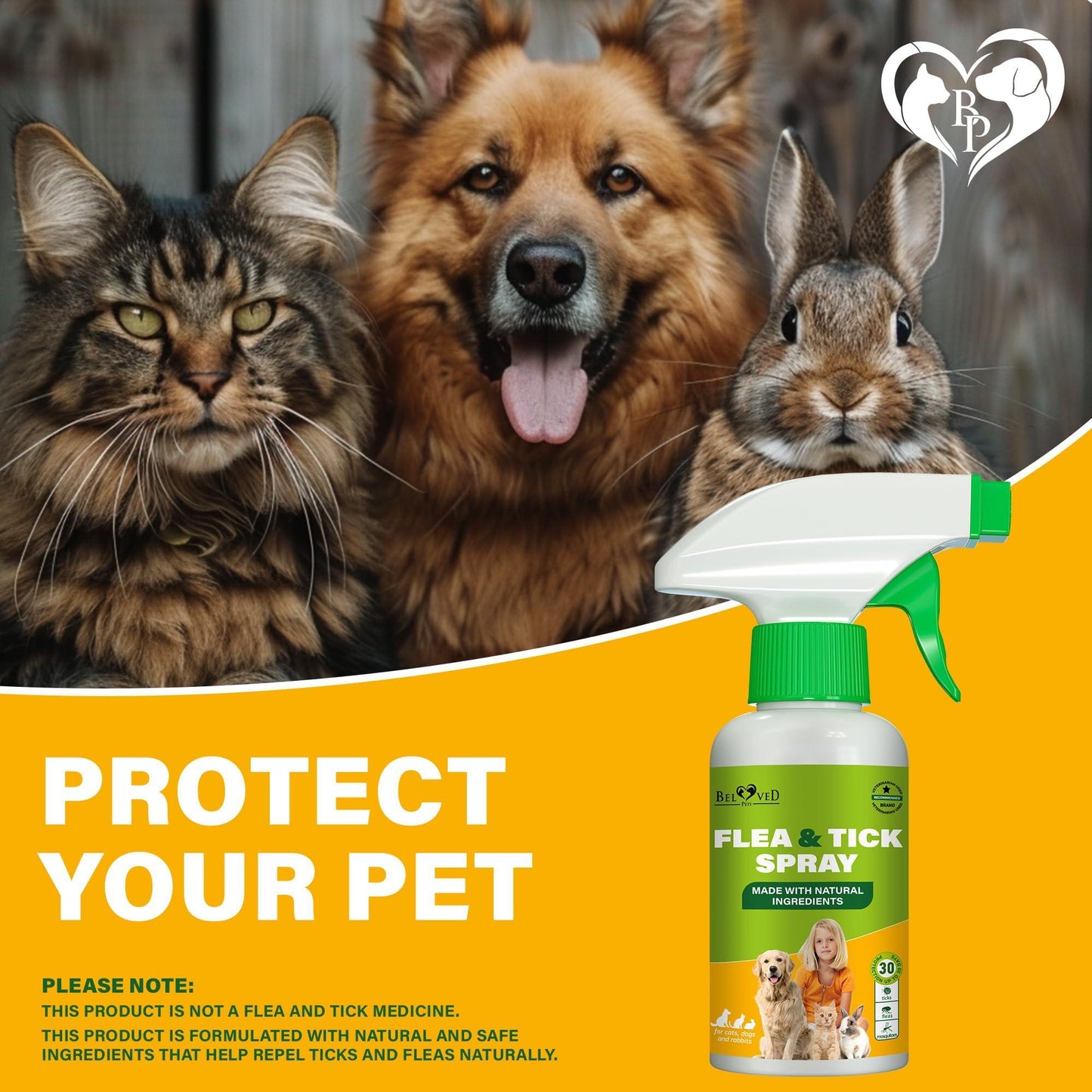 Beloved Pets Natural Flea and Tick Home Spray for Dogs, Cats & Ferrets. Pest Control & House Flea Treatment. Organic Mosquito Bug Repellent & Carpet Flea Killer. 8.5 Oz. For Pet With Love