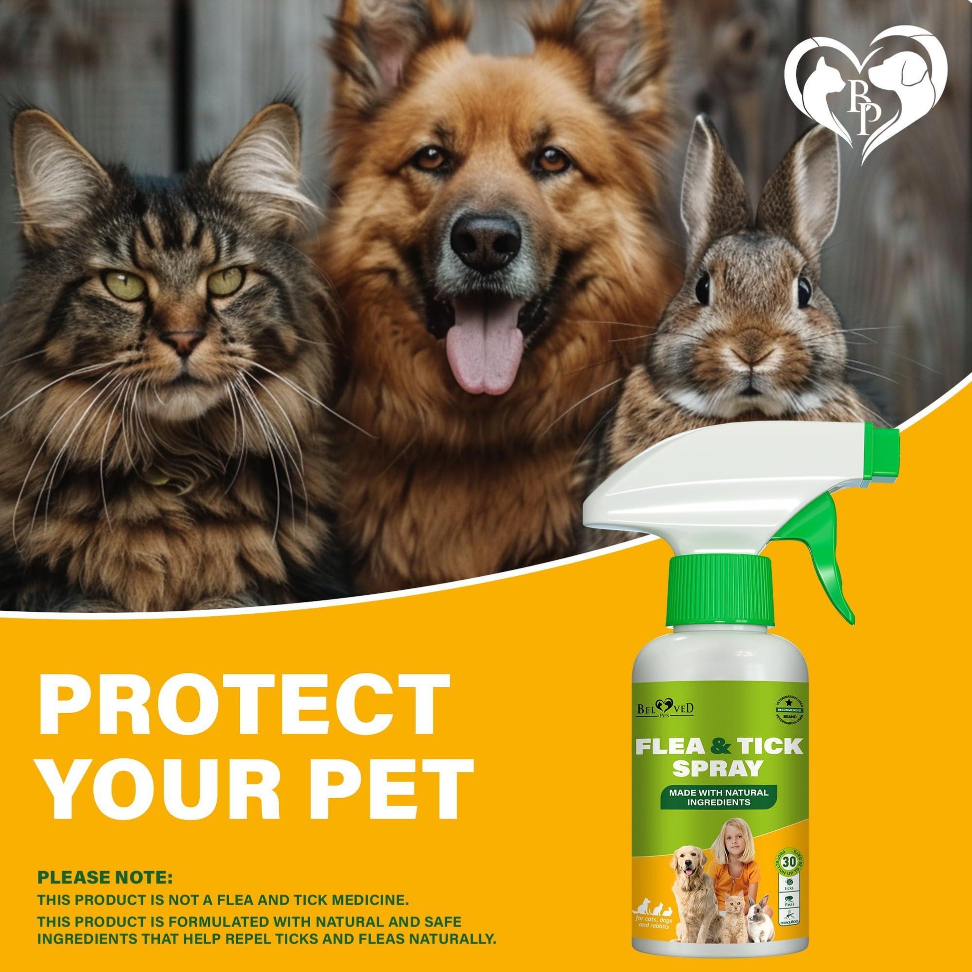 Beloved Pets Natural Flea and Tick Home Spray for Dogs, Cats & Ferrets. Pest Control & House Flea Treatment. Organic Mosquito Bug Repellent & Carpet Flea Killer. 8.5 Oz. For Pet With Love