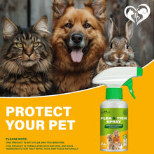 Load image into Gallery viewer, Natural Flea and Tick Home Spray for Dogs, Cats &amp; Small Animals
