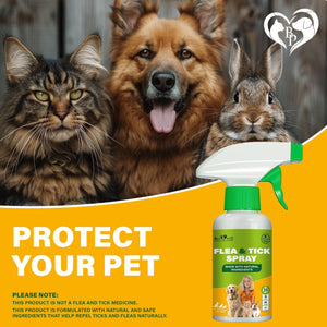 Natural Flea and Tick Home Spray for Dogs, Cats & Small Animals