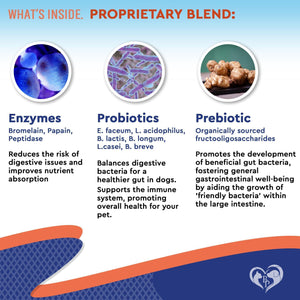 Beloved Pets Probiotics & Prebiotics with Enzymes Food Supplements for Dogs & Cats 2Oz