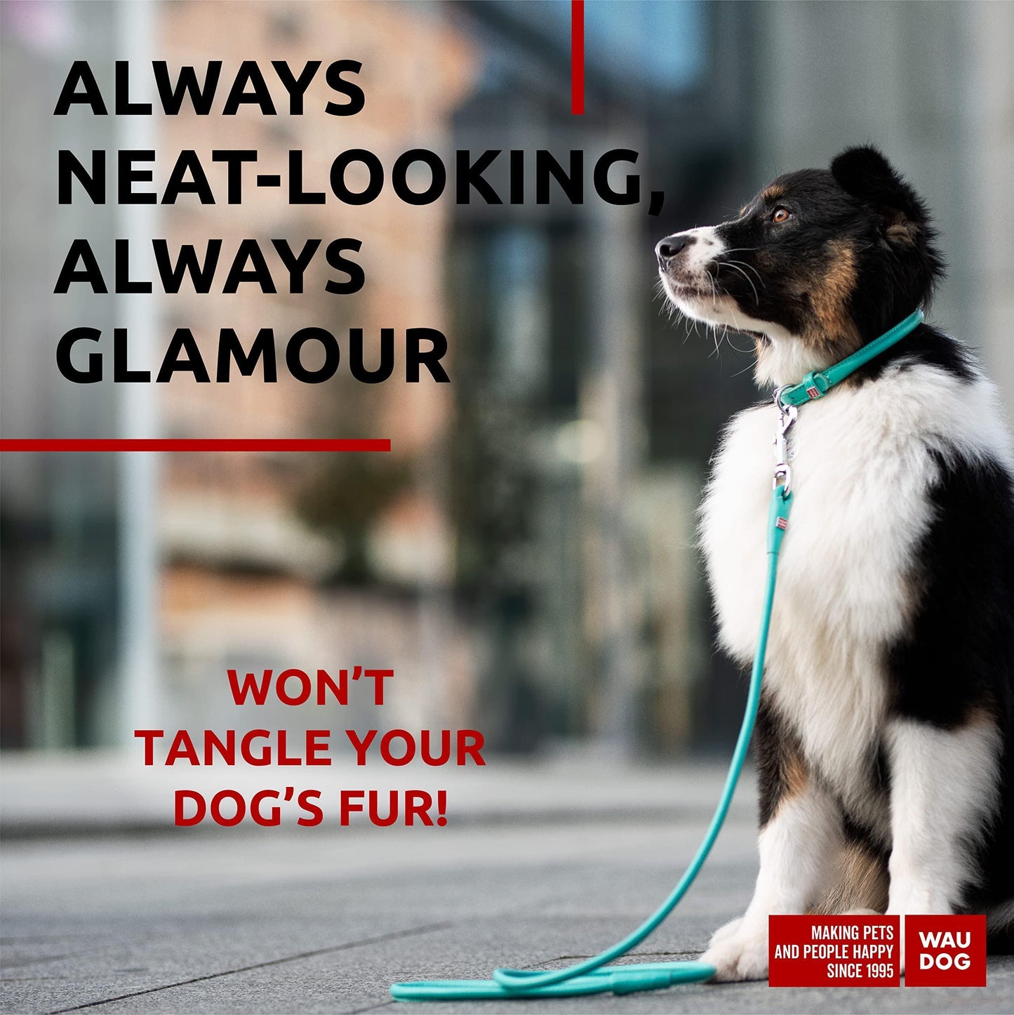 WAUDOG Rolled Leather GLAMOUR Dog Leash 4Ft X 0.5in (Mint) For Pet With Love