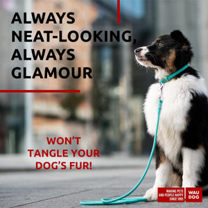 WAUDOG Rolled Leather GLAMOUR Dog Leash 4Ft X 0.5in (Mint)