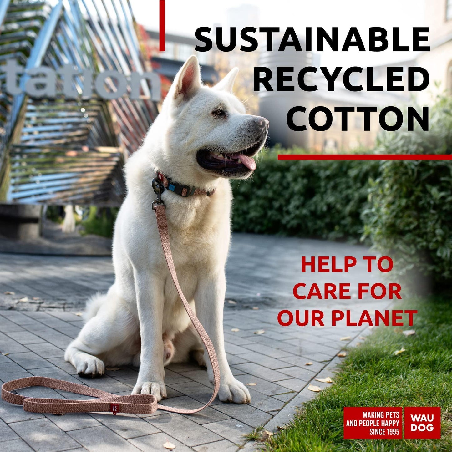 WAUDOG Recycled Cotton Dog Leash 6 Ft   10 Ft Eco Friendly Collar for Small For Pet With Love