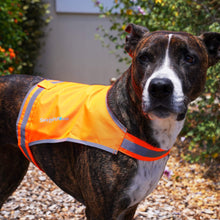 Load image into Gallery viewer, Lite Dog Vest. Coverage to Mid Back. Reflective Hi Visibility Blaze Orange
