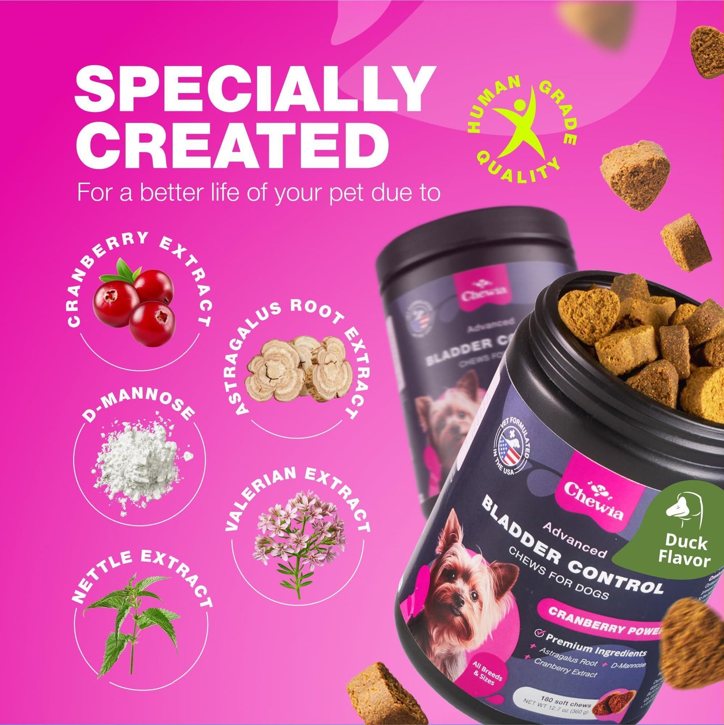 CHEWIA Dog Cranberry UTI Treatment Supplement for Bladder & Kidney Health 180 Chews For Pet With Love
