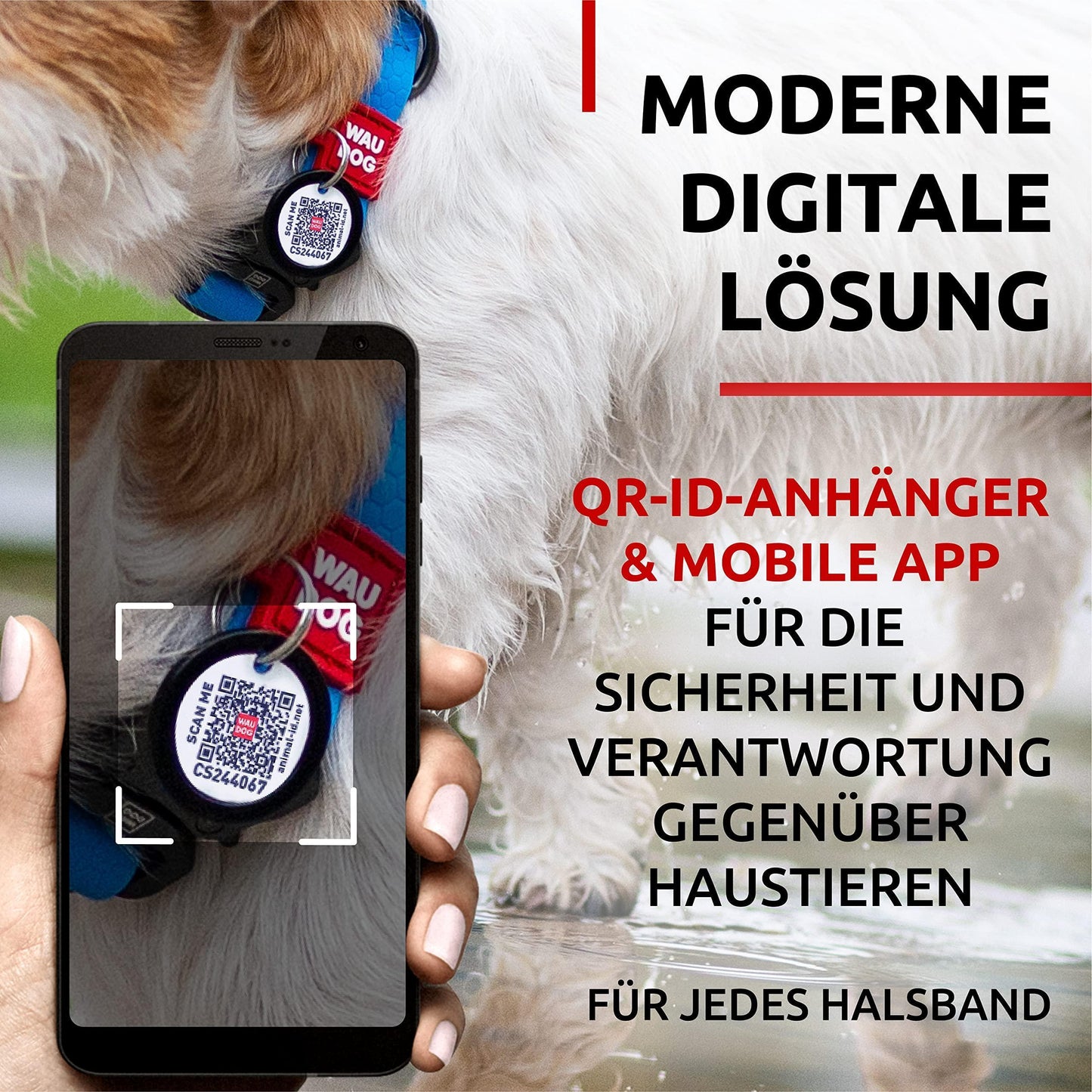 WAUDOG Adjustable Waterproof Heavy Duty Dog Collar with Durable Metal Clasp and QR Dog Tag. SMALL (Blue) For Pet With Love