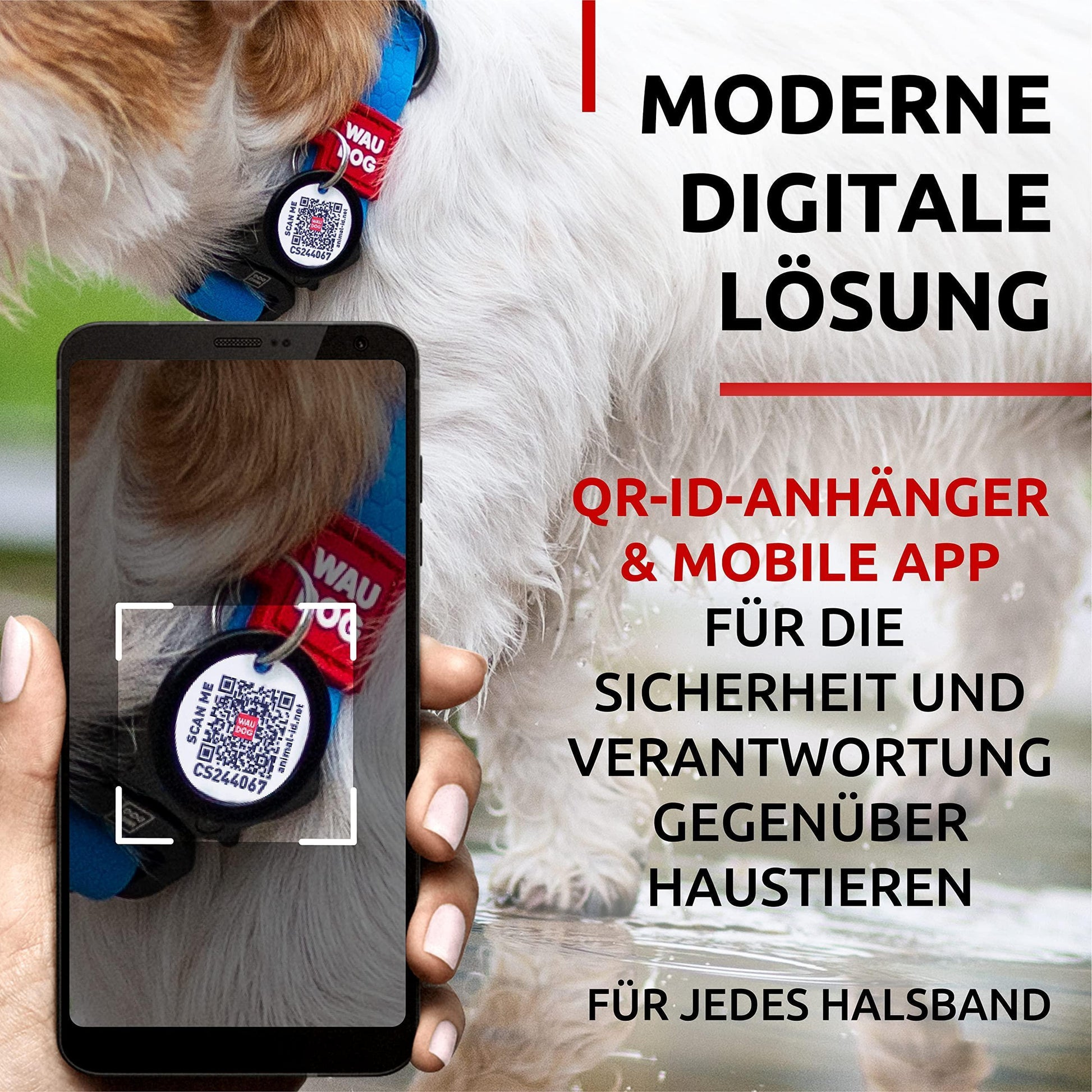 WAUDOG Adjustable Waterproof Heavy Duty Dog Collar with Durable Metal Clasp and QR Dog Tag. SMALL (Blue) For Pet With Love