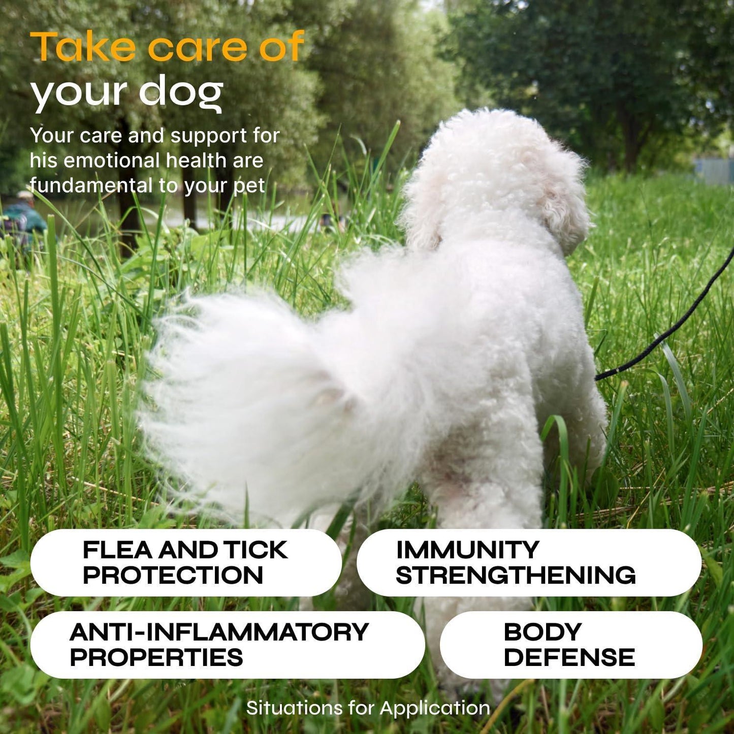 VETRICA Flea and Tick Prevention Treatment Immune Support for Dogs. All Breeds & Ages. Vet Formulated. (130 Soft Treats. Duck Flavor) For Pet With Love