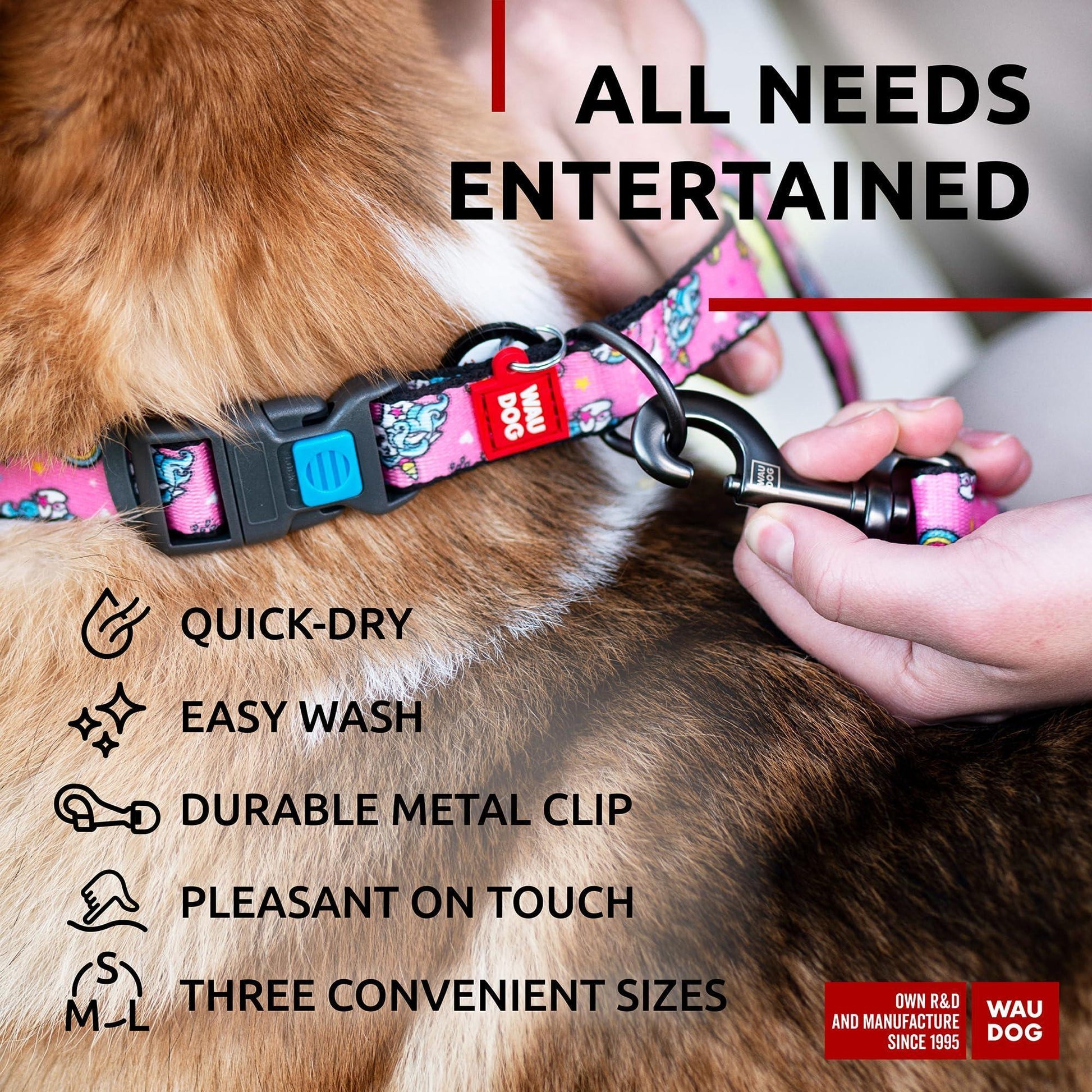 Nylon Dog Leash for Small Dogs and Medium Dogs 4 Ft   Strong Dog Leash for For Pet With Love