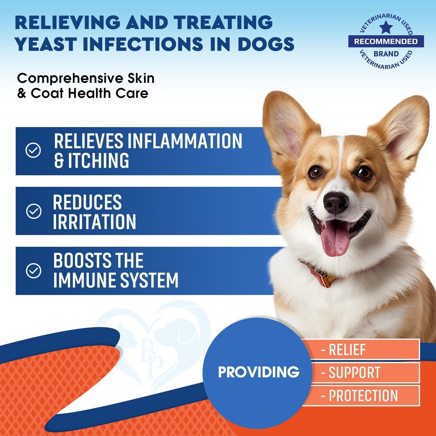 Beloved Pets Natural Dog Yeast Infection Anti Itch Herbal Supplement. Itchy Ears Skin & Allergy Symptoms Relief. Made in USA. 30mL. For Pet With Love