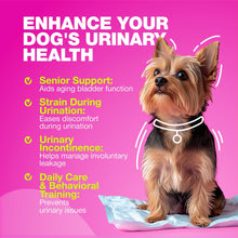 Load image into Gallery viewer, CHEWIA Cranberry Dog UTI Treatment Supplement for Bladder &amp; Kidney Health 180 Ct
