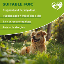 Load image into Gallery viewer, Beloved Pets Natural Anti Fleas and Ticks Essential Oil Repellent Collar for Dogs. 6 Months Control of Best Prevention &amp; Safe Treatment. Pack of 1. For Pet With Love
