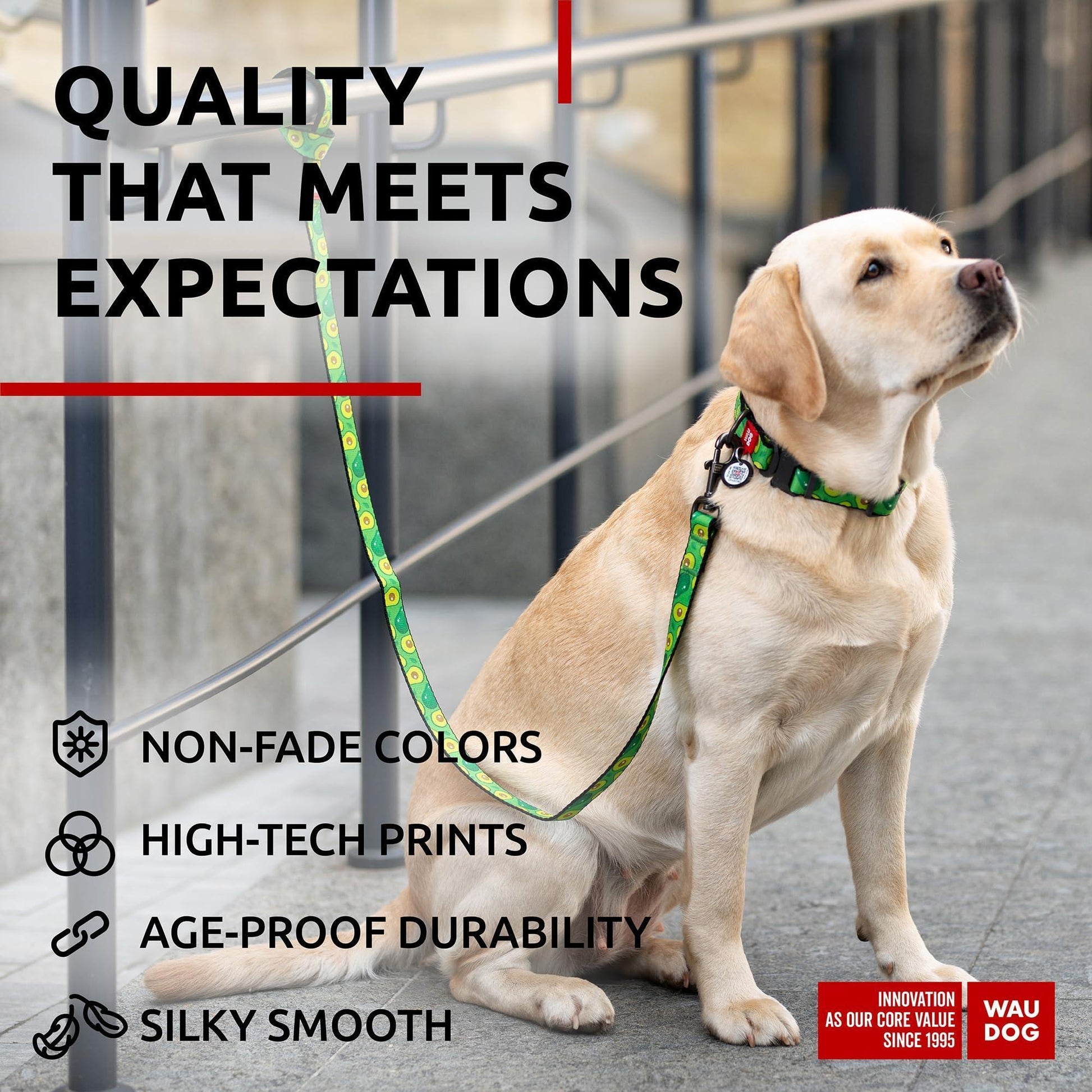 WAUDOG Nylon Dog Leash for Small Dogs and Medium Dogs 4 Ft   Strong Dog Leash For Pet With Love