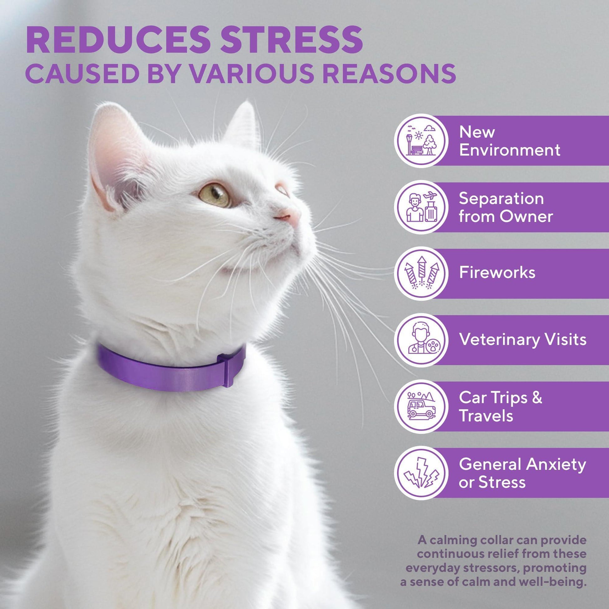 Beloved Pets RELAXIV Cat Calming Stress Relief Collar For Pet With Love