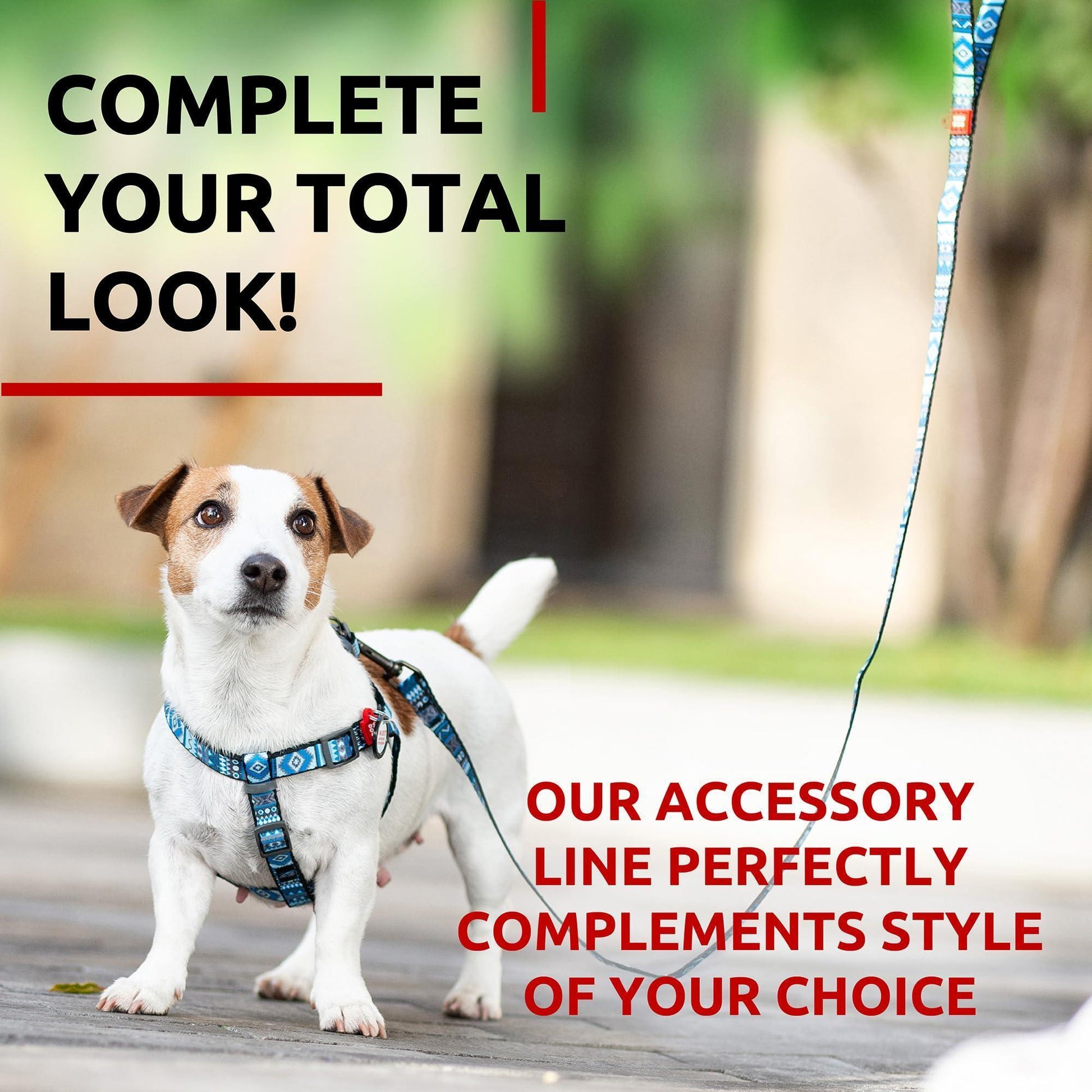 WAUDOG Nylon Dog Leash for Small Dogs and Medium Dogs 4 Ft   Strong Dog Leash For Pet With Love