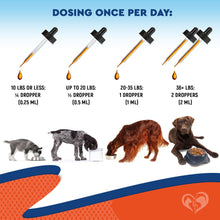 Load image into Gallery viewer, Beloved Pets Natural Dog Yeast Infection Anti Itch Herbal Supplement. Itchy Ears Skin &amp; Allergy Symptoms Relief. Made in USA. 30mL. For Pet With Love
