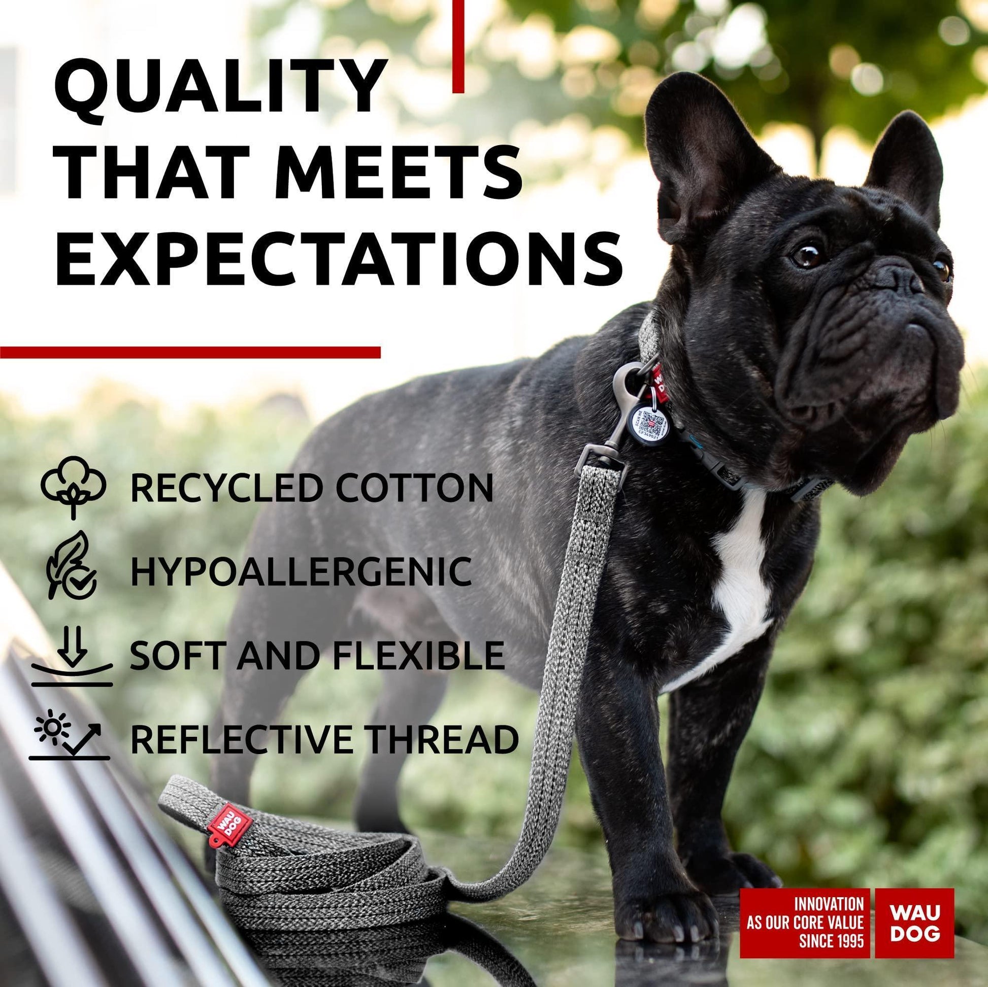 WAUDOG Recycled Cotton Dog Leash 6 Ft   10 Ft Eco Friendly Collar for Small For Pet With Love